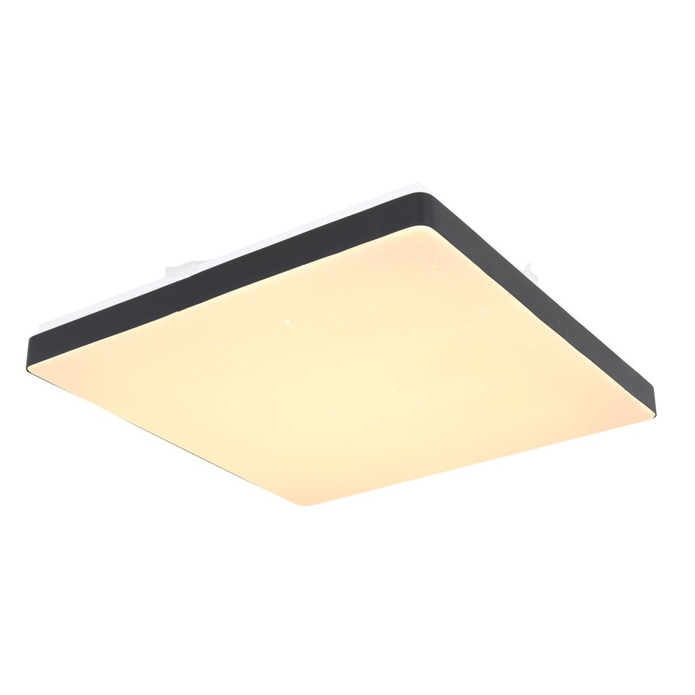 Globo RAINA Lampa Sufitowa LED Czarny, Biały, 1-punktowy main product photo