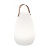 FHL-easy Ruby Lampa stołowa LED Biały, 1-punktowy, Zdalne sterowanie, Zmieniacz kolorów