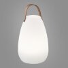 FHL-easy Ruby Lampa stołowa LED Biały, 1-punktowy, Zdalne sterowanie, Zmieniacz kolorów