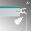 FHL-easy Zirbel lampa z klipsem LED Biały, 1-punktowy