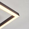 Hyacinthe Lampa Sufitowa LED Chrom, Czarny, 1-punktowy