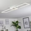Hyacinthe Lampa Sufitowa LED Chrom, Biały, 1-punktowy