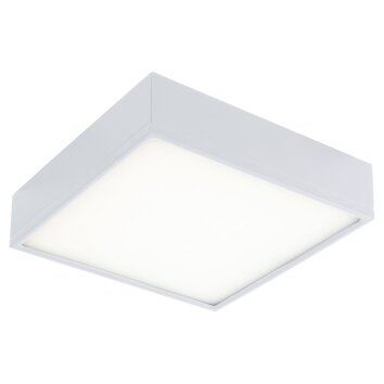 Luce-Design Klio Lampa Sufitowa LED Biały, 1-punktowy