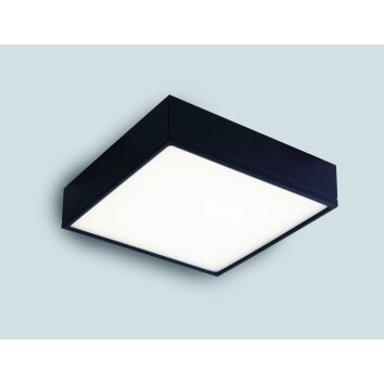 Luce-Design Klio Lampa Sufitowa LED Czarny, 1-punktowy