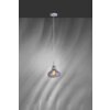 Lampa Wisząca Paul Neuhaus SCARLETT przydymiony, 1-punktowy