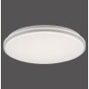 Leuchten-Direkt COLIN Lampa Sufitowa LED Biały, 1-punktowy