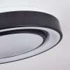Page Lampa Sufitowa LED Czarny, Biały, 2-punktowe, Zdalne sterowanie, Zmieniacz kolorów