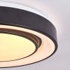 Page Lampa Sufitowa LED Czarny, Biały, 2-punktowe, Zdalne sterowanie, Zmieniacz kolorów