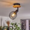 Ballis Lampa Sufitowa Ecru, Czarny, 1-punktowy