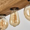 Berat Lampa Sufitowa Brązowy, Czarny, 4-punktowe