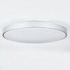 Buris Lampa Sufitowa LED Srebrny, 1-punktowy, Zdalne sterowanie