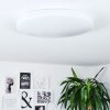 Weesen Lampa Sufitowa LED Biały, 1-punktowy, Czujnik ruchu