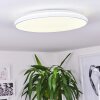 Bergell Lampa Sufitowa LED Biały, 1-punktowy