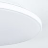 Bergell Lampa Sufitowa LED Biały, 1-punktowy