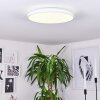 Bergell Lampa Sufitowa LED Biały, 1-punktowy