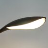 Fischer-Honsel Nil lampka nocna LED Czarny, 1-punktowy