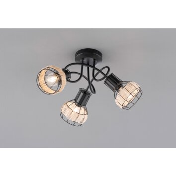 Fischer-Honsel Straw Lampa Sufitowa Czarny, 3-punktowe