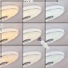 Cham Lampa Sufitowa LED Chrom, Biały, 2-punktowe, Zdalne sterowanie, Zmieniacz kolorów