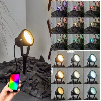 Sempach Oświetlenie ścieżek LED Czarny, 1-punktowy, Zmieniacz kolorów