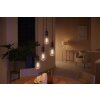 Philips Hue White Ambiance LED E27 7 Wat 2200 - 4500 Kelwinów 550 Lumenów