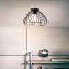 Brilliant Blacky Lampa Sufitowa Czarny, 1-punktowy