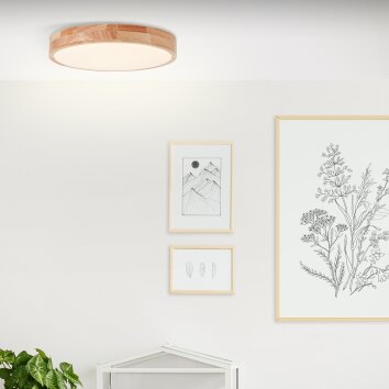 Brilliant Slimline Lampa Sufitowa LED Biały, 1-punktowy