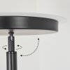 Busswil Lampa Stojąca LED Czarny, 2-punktowe