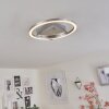 Buren Lampa Sufitowa LED Nikiel matowy, 1-punktowy