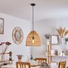 Zofingen Lampa Wisząca Czarny, 1-punktowy