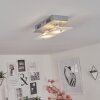 Liestal Lampa Sufitowa LED Nikiel matowy, 2-punktowe