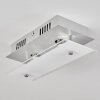 Liestal Lampa Sufitowa LED Nikiel matowy, 2-punktowe