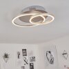 Mohlin Lampa Sufitowa LED Nikiel matowy, 1-punktowy