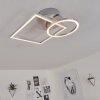 Buren Lampa Sufitowa LED Nikiel matowy, 1-punktowy