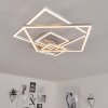 Buren Lampa Sufitowa LED Nikiel matowy, 1-punktowy