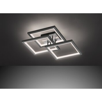 Wofi-Leuchten MURIEL Lampa Sufitowa LED Szary, 1-punktowy