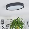 Nexo Lampa Sufitowa LED Czarny, 1-punktowy