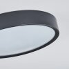 Nexo Lampa Sufitowa LED Czarny, 1-punktowy