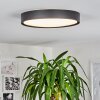 Nexo Lampa Sufitowa LED Czarny, 1-punktowy