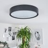 Nexo Lampa Sufitowa LED Czarny, 1-punktowy