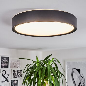 Nexo Lampa Sufitowa LED Czarny, 1-punktowy