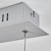 Bernese Lampa Wisząca LED Nikiel matowy, 3-punktowe