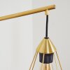 Cenova Lampa ścienna Mosiądz, 1-punktowy