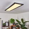 Gailinge Lampa Sufitowa LED biały, 1-punktowy