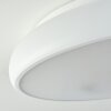 Rhone Lampa Sufitowa LED Biały, 1-punktowy, Zmieniacz kolorów