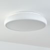 Rhone Lampa Sufitowa LED Biały, 1-punktowy, Zmieniacz kolorów