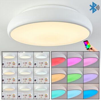 Rhone Lampa Sufitowa LED Biały, 1-punktowy, Zmieniacz kolorów
