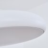Rhone Lampa Wisząca LED Biały, 1-punktowy, Zmieniacz kolorów