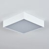 Netstal Lampa Sufitowa LED Biały, 1-punktowy