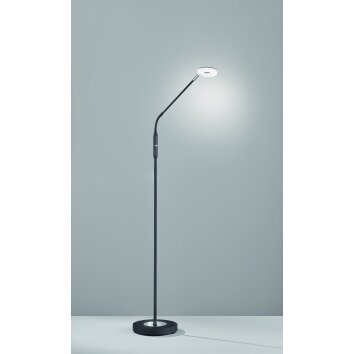 Fischer-Honsel Dent Lampa Stojąca LED Czarny, 1-punktowy