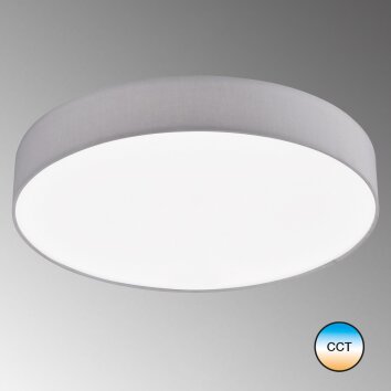 SCHÖNER-WOHNEN-Kollektion Pina Lampa Sufitowa LED Biały, 1-punktowy, Zdalne sterowanie